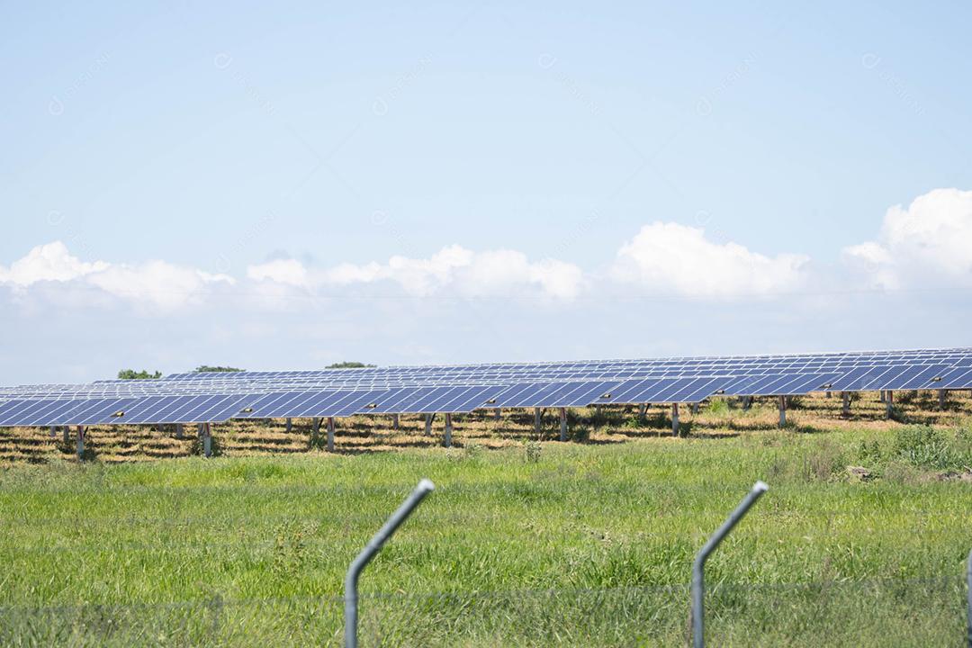 energia verde da fazenda solar da luz do sol mostra muita célula solar