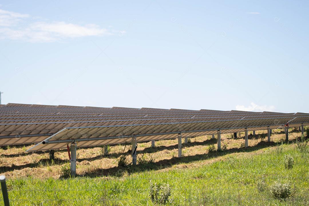 energia verde da fazenda solar da luz do sol mostra muita célula solar