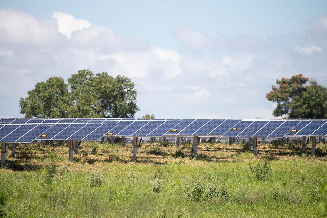 energia verde da fazenda solar da luz do sol mostra muita célula solar