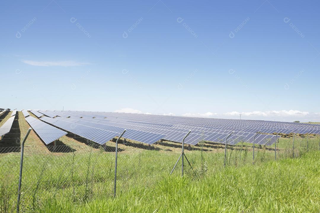 energia verde da fazenda solar da luz do sol mostra muita célula solar