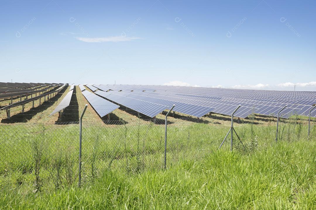 energia verde da fazenda solar da luz do sol mostra muita célula solar