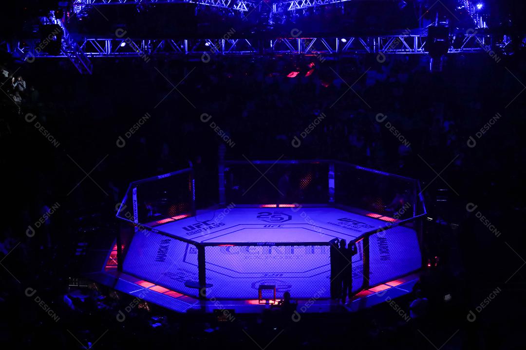 UFC Fight Night - Marreta x Anders - Octógono, estádio