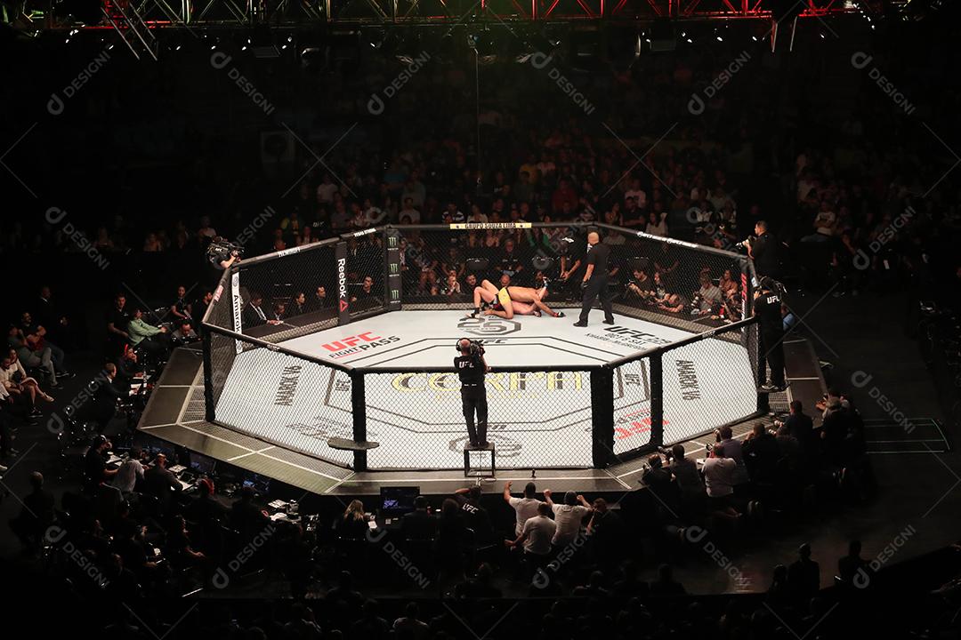 UFC Fight Night - Marreta x Anders - Octógono, estádio