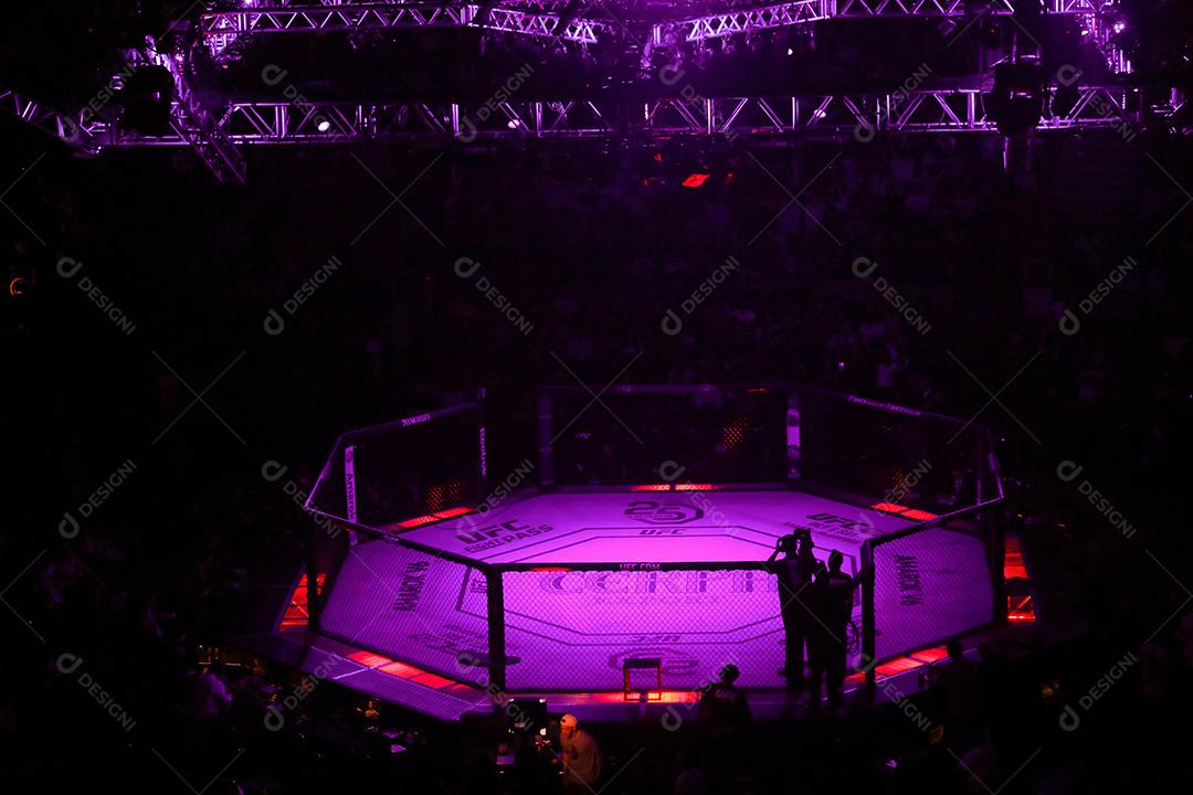 UFC Fight Night - Marreta vs. Anders - Octógono, estádio