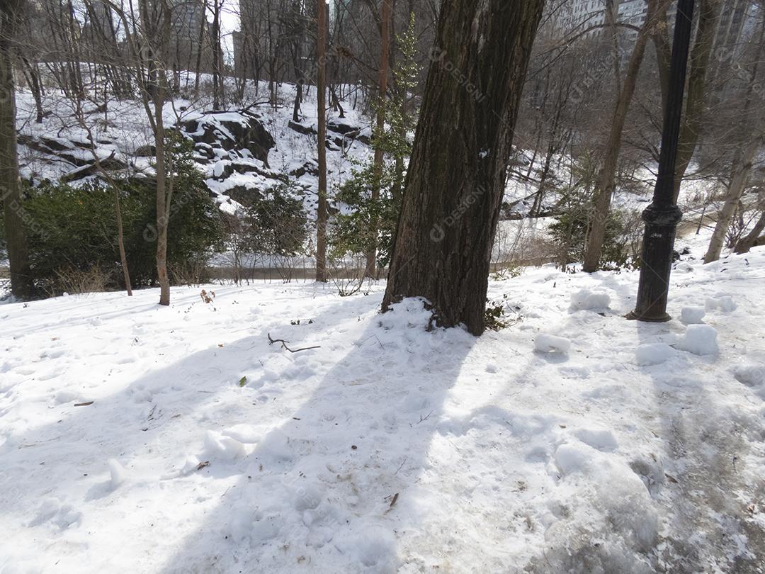Manhã de inverno nevado no Central Park, Manhattan, EUA.
