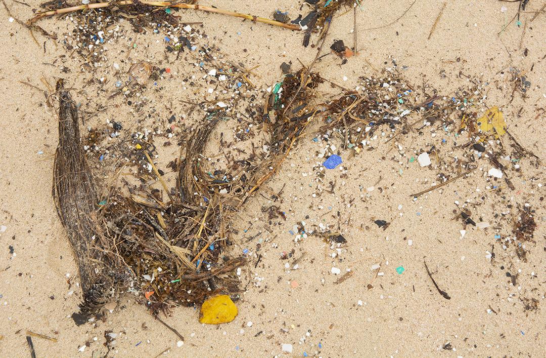 Pequenas peças plásticas e microplásticos na praia Anakena na Ilha de Páscoa, Rapa Nui, Chile.