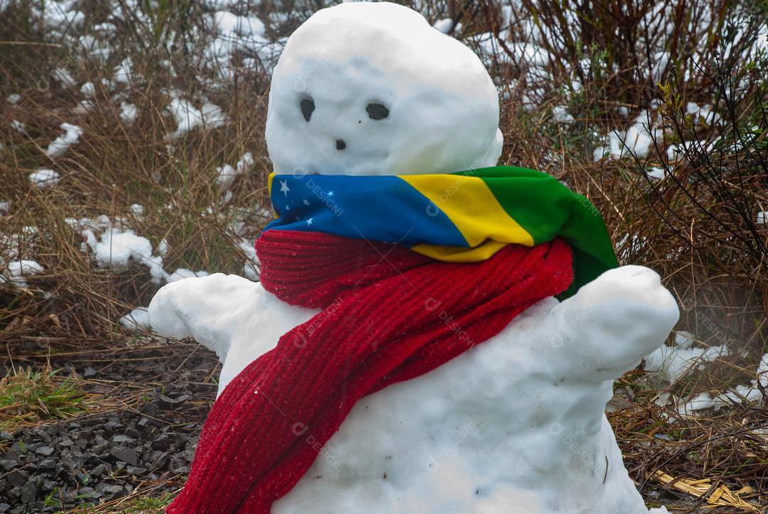Boneco de neve com bandeira do brasil