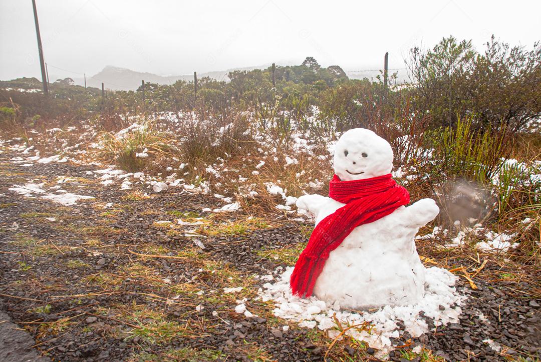 Boneco de neve com bandeira do brasil