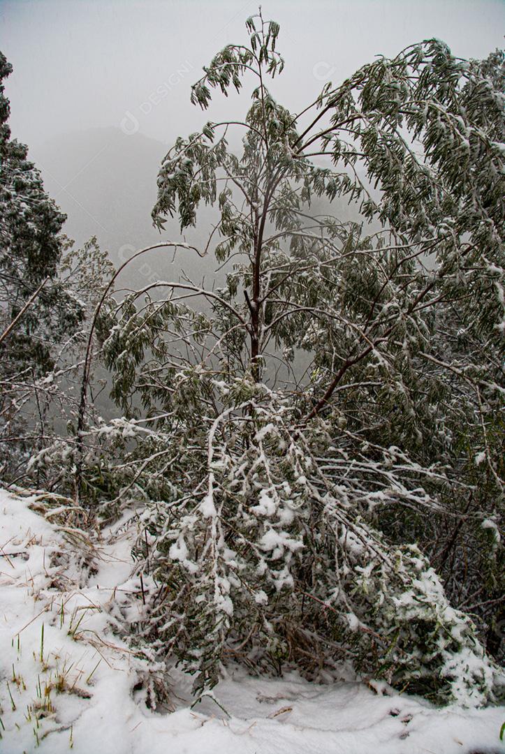 Neve em Urubici