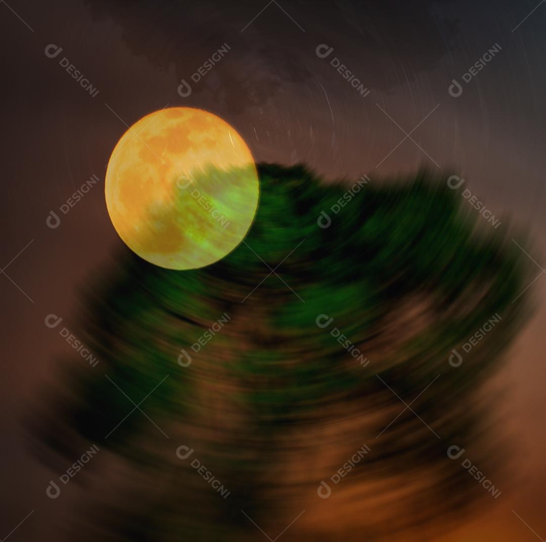 Árvore atrás de lua amarela no céu estrelado em urubici