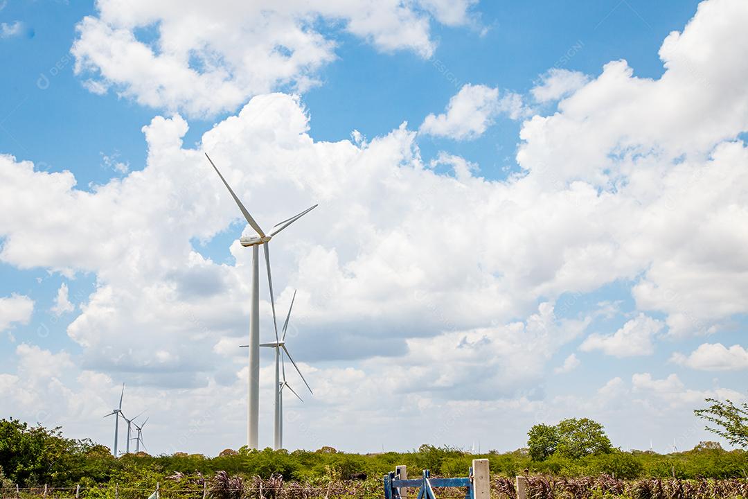 Energia eólica. Sustentabilidade. Geradores de energia sustentáveis