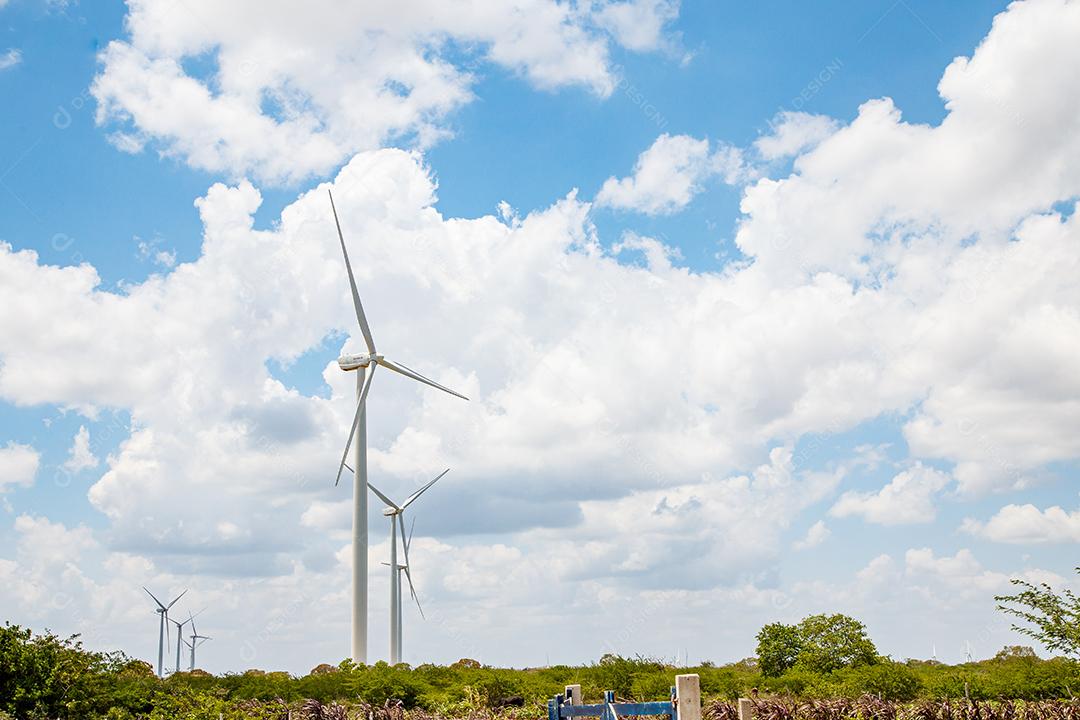 Energia eólica. Sustentabilidade. Geradores de energia sustentáveis