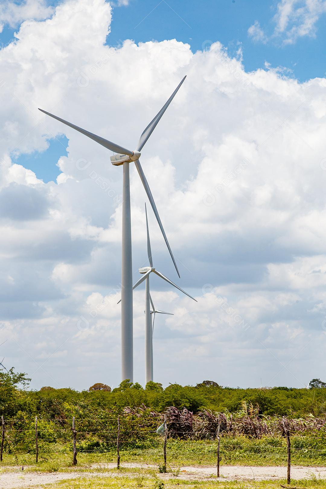 Energia eólica. Sustentabilidade. Geradores de energia sustentáveis