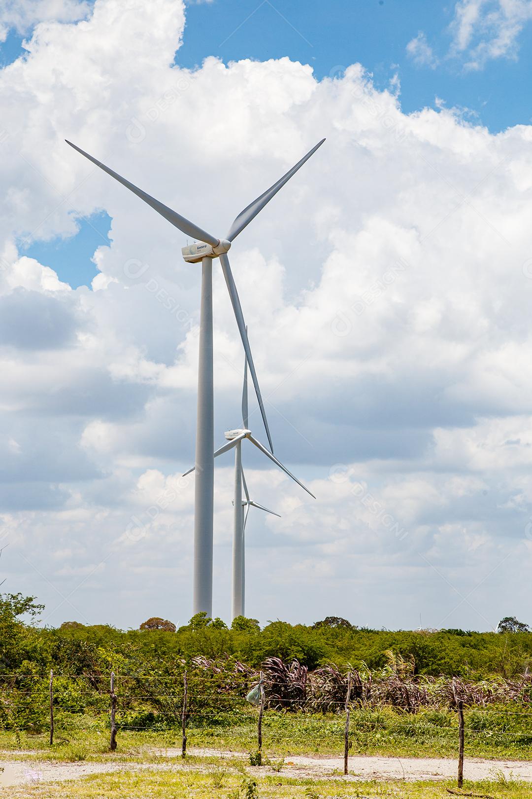 Energia eólica. Sustentabilidade. Geradores de energia sustentáveis