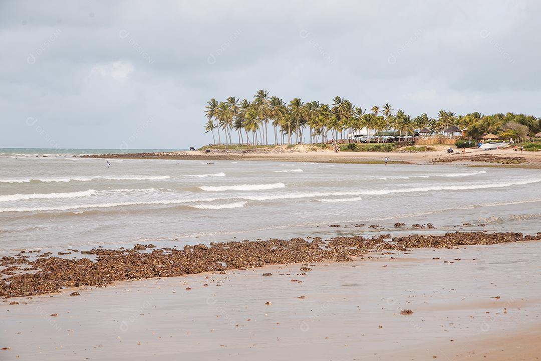 Praias do Brasil - Maracajau, Rio Grande do Norte