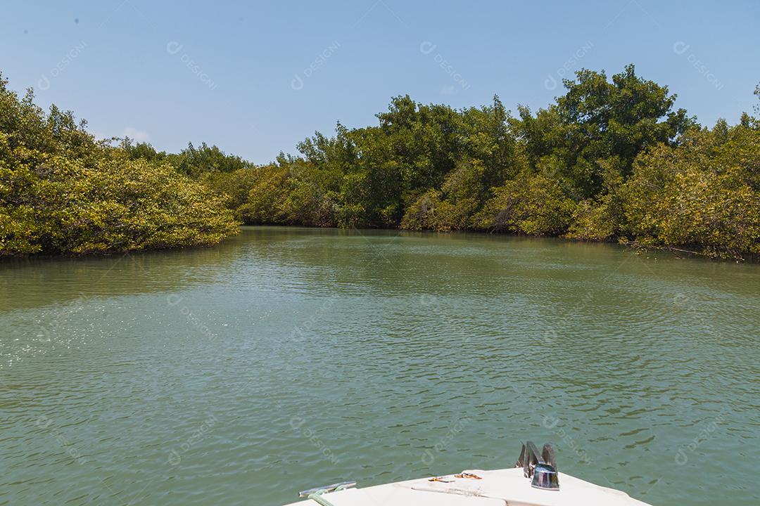 foto do mangue. Mangue. Criação de caranguejo