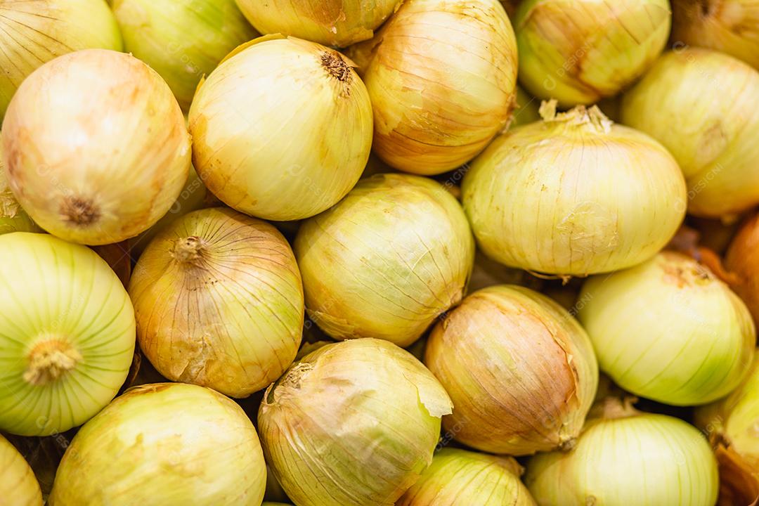 Cebolas no mercado. Um grande grupo de cebolas amarelas cruas com casca.