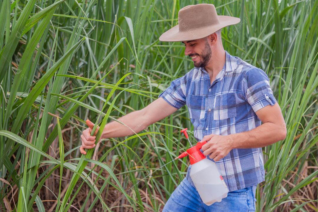 Homem agricultor batendo veneno na plantação