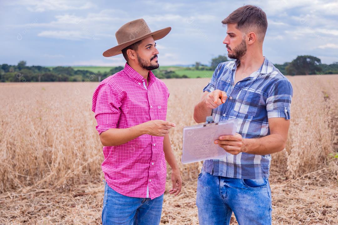 Homens jovens agricultores olhando um projeto no papel