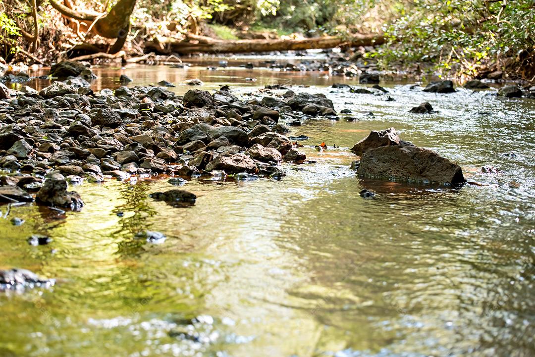 Bela natureza, rio com pedras no Brasil.