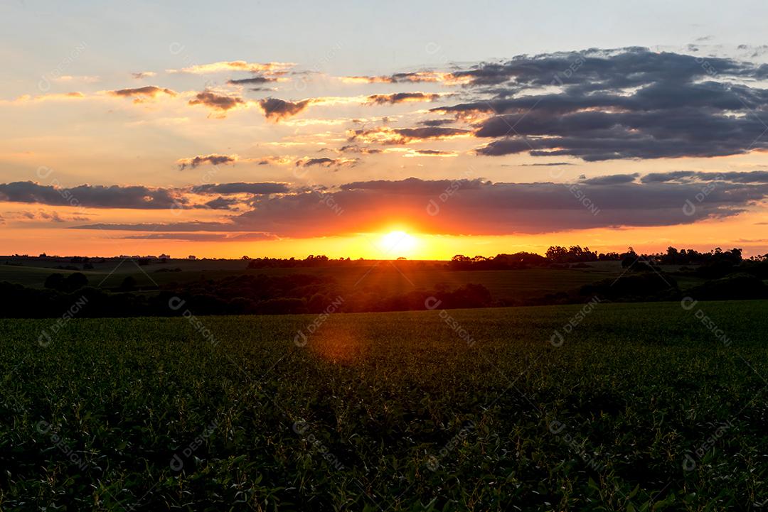 Belo pôr do sol no interior do Brasil, céu laranja, ouro