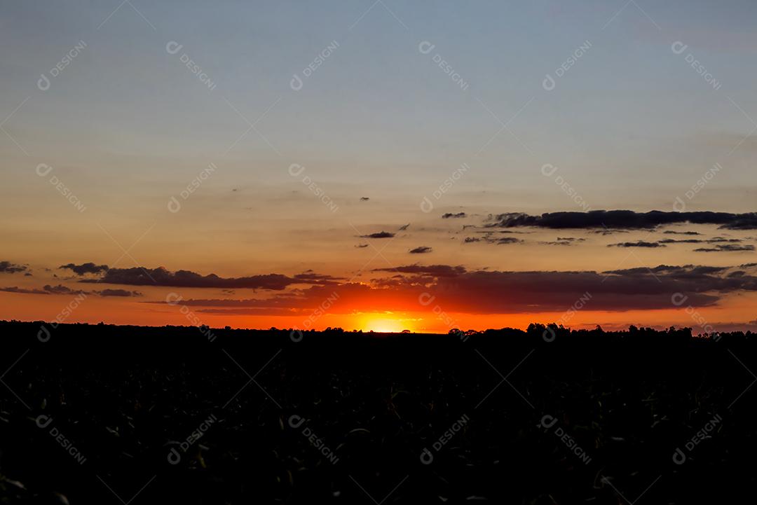 Silhueta do pôr do sol na zona rural do Brasil.
