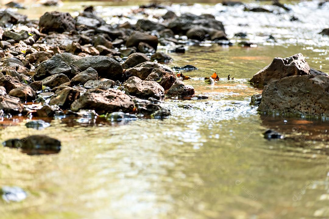 Bela paisagem, rochas no rio na floresta brasileira