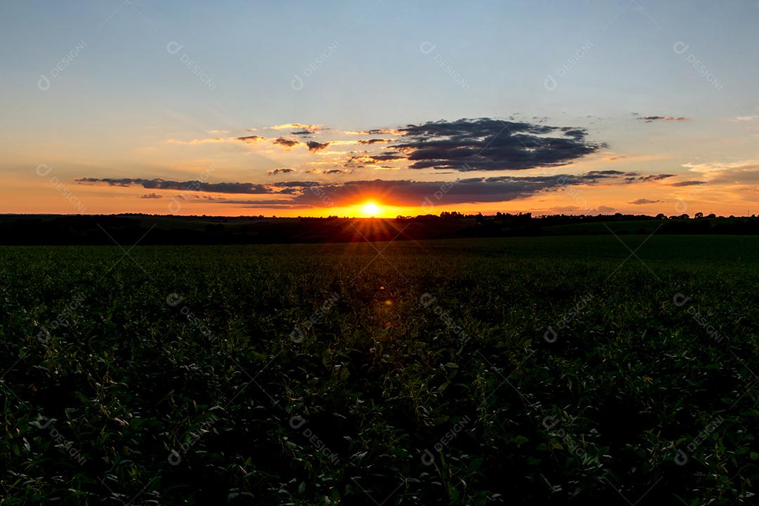 Silhueta do pôr do sol na zona rural do Brasil.