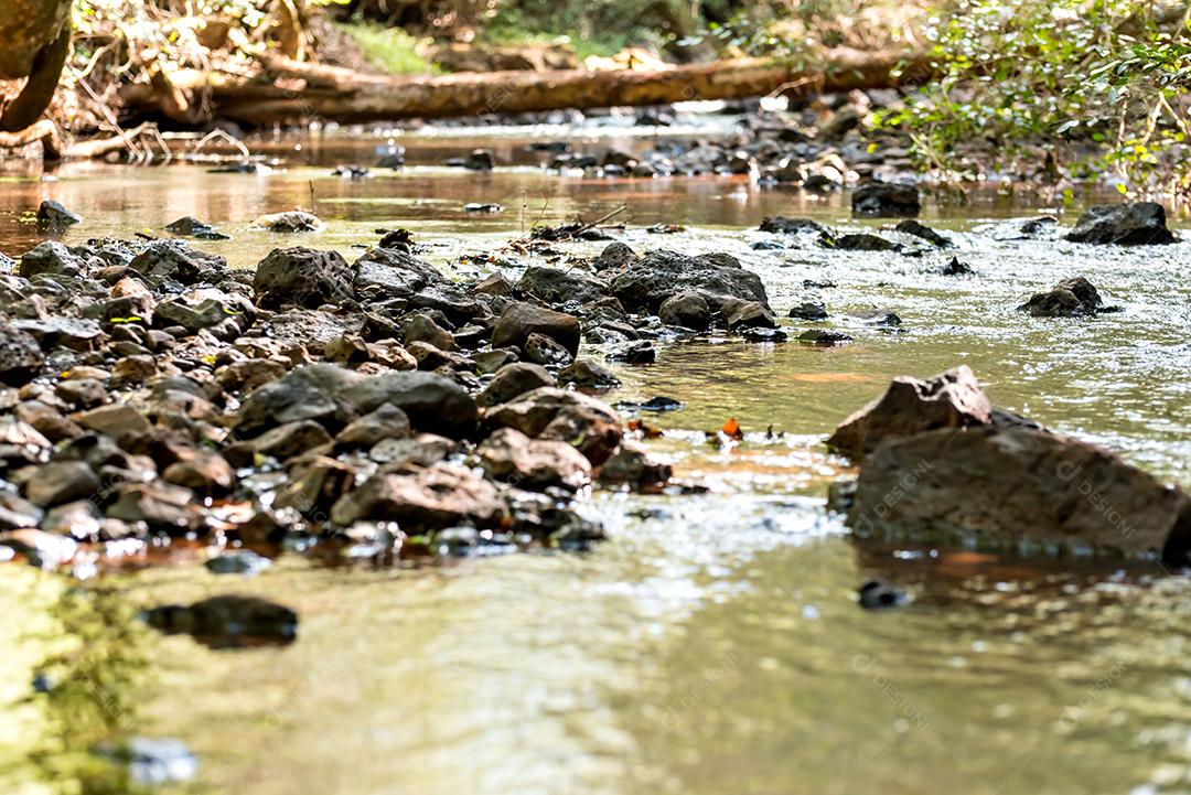 Rio Água Doce com Rochas no Brasil.