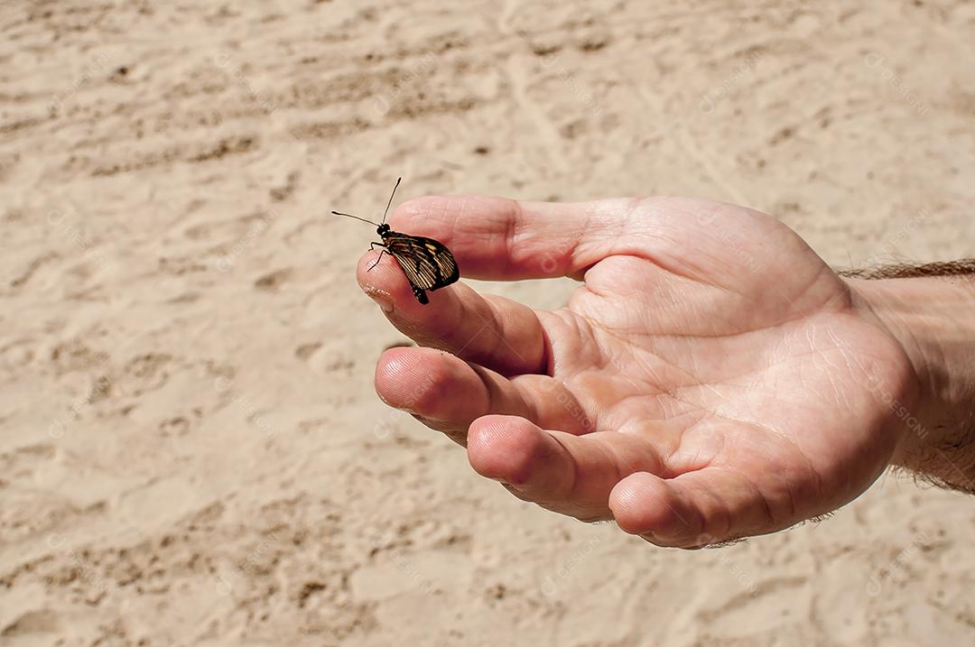 Borboleta pousa na mão do homem na praia.