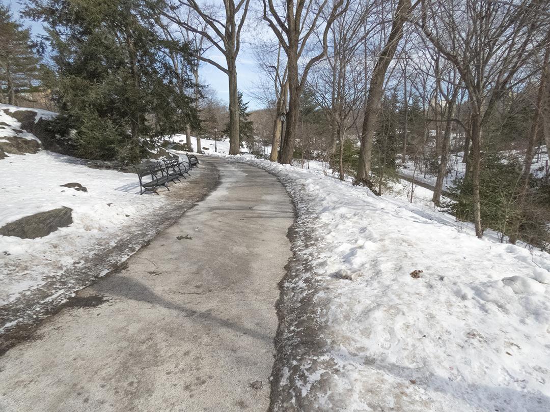 Manhã de inverno nevado no Central Park, Manhattan, EUA