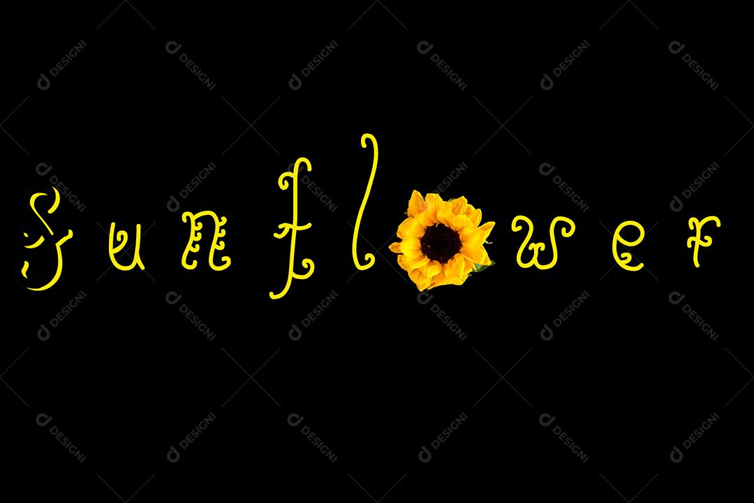 Girassol escrito em fundo preto