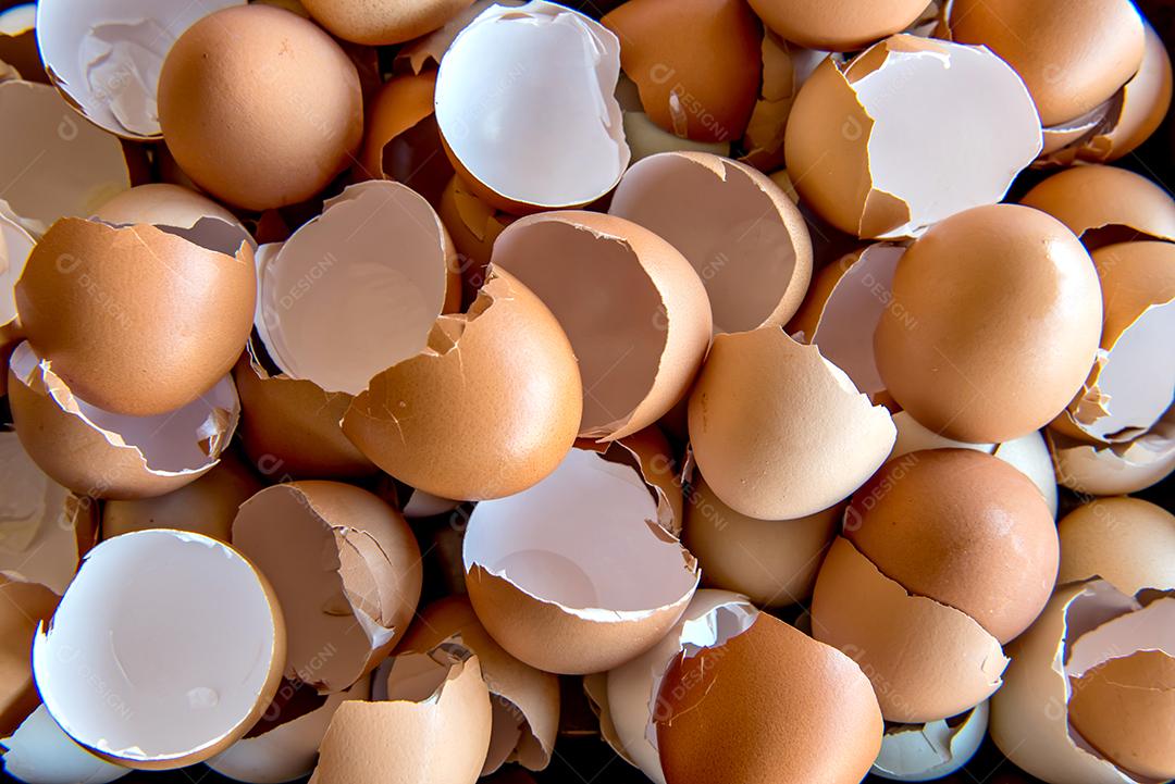 Fundo de textura de casca de ovo quebrado.