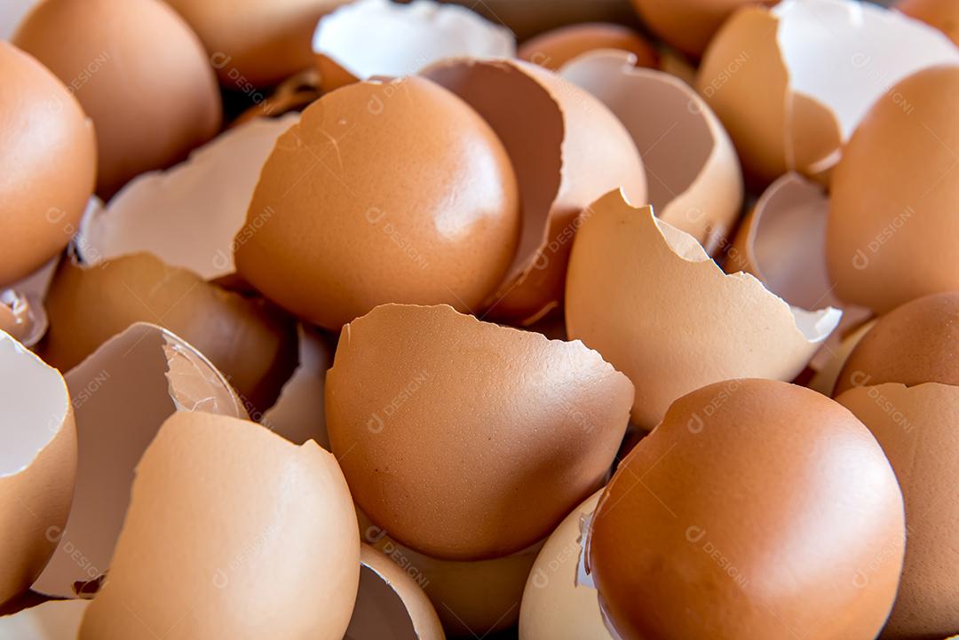 Fundo de textura de casca de ovo quebrado.