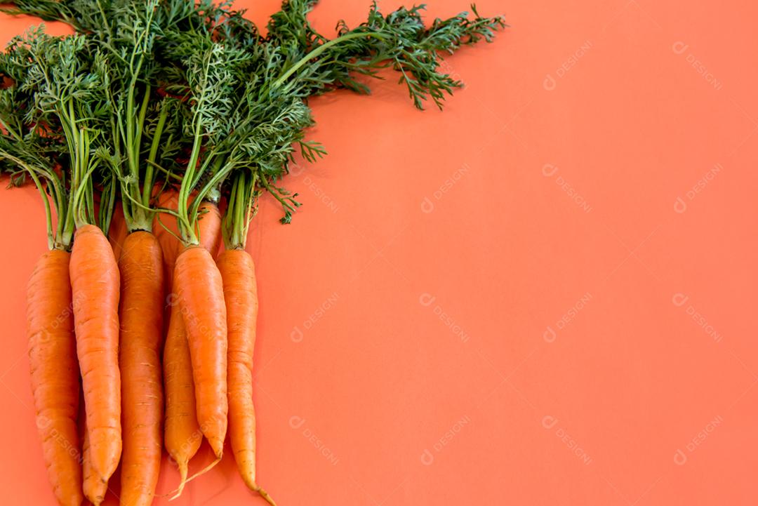 Cenouras em fundo laranja com espaço para texto.