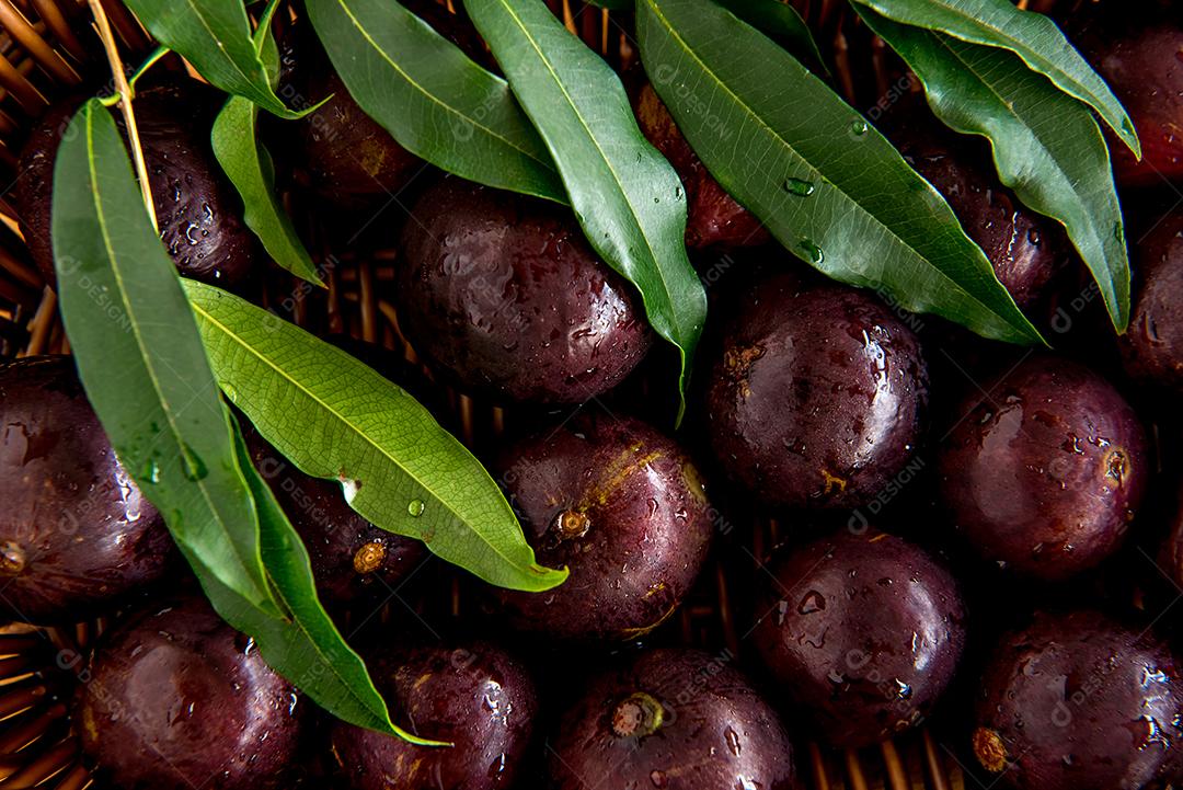 Fundo de textura de jabuticaba, frutas brasileiras exóticas.