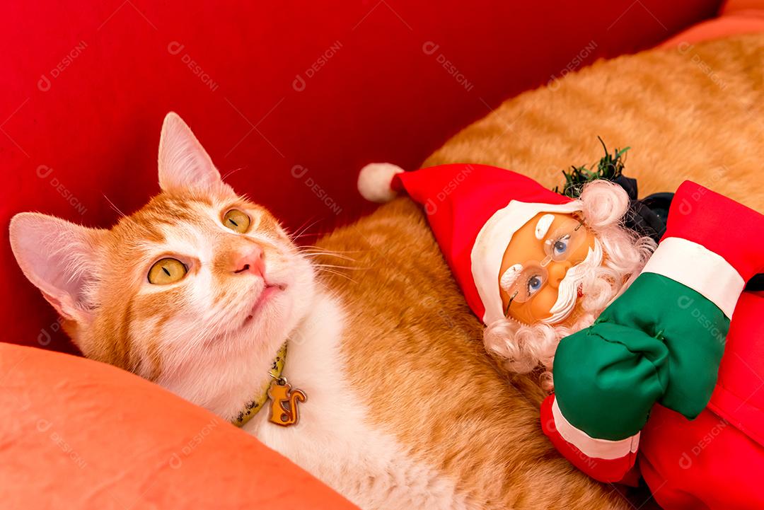 Boneca de Papai Noel com gato amarelo no sofá vermelho