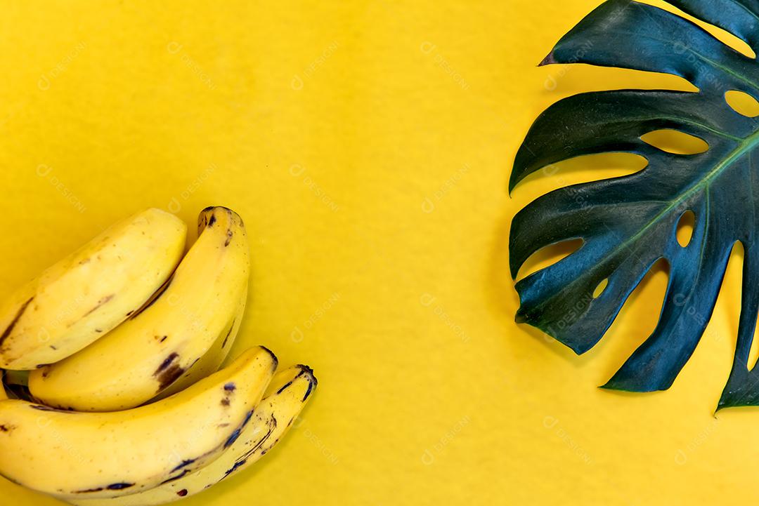 Bananas e folhagem de costela de adão em fundo amarelo. Vista do topo.