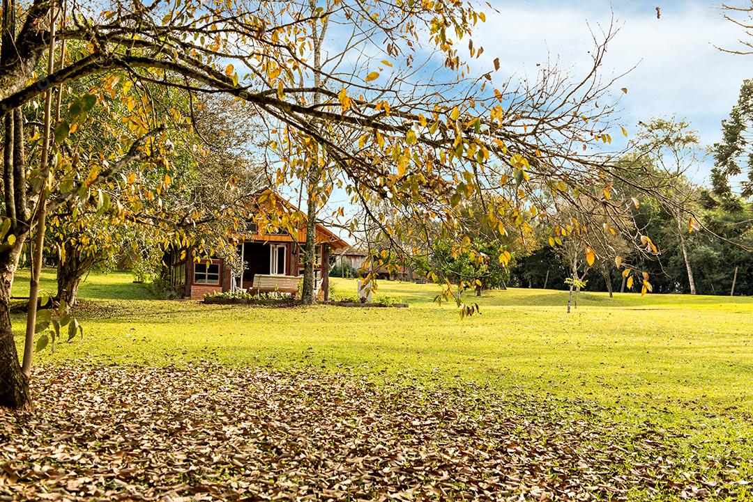 Lindo jardim com quiosque de churrasqueira em uma casa de campo.