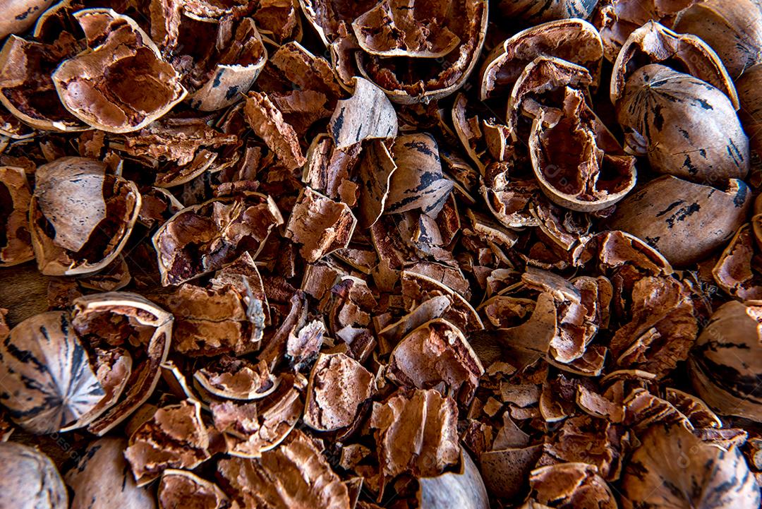 Fundo de cascas de noz-pecã. Vista do topo.