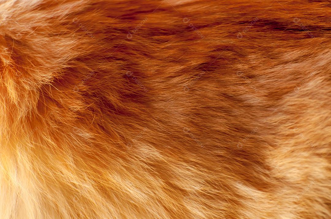 Fundo de textura de pele de gato amarelo