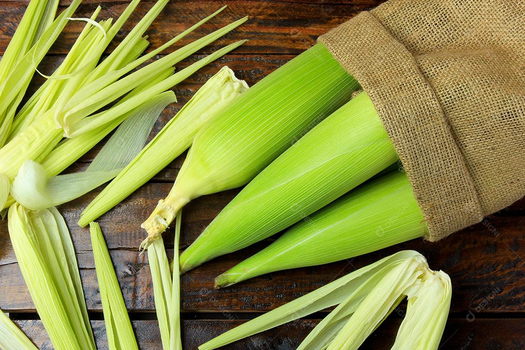 Espiga de milho, fresca, colhida da plantação na mesa de madeira rústica. espaço para texto. Vista do topo