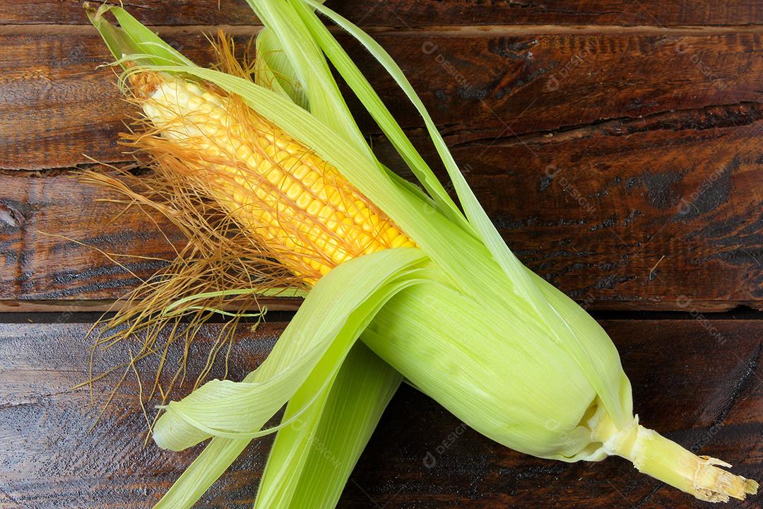 espiga de milho cru, com palha, colhida da plantação, na mesa de madeira rústica. espaço para texto