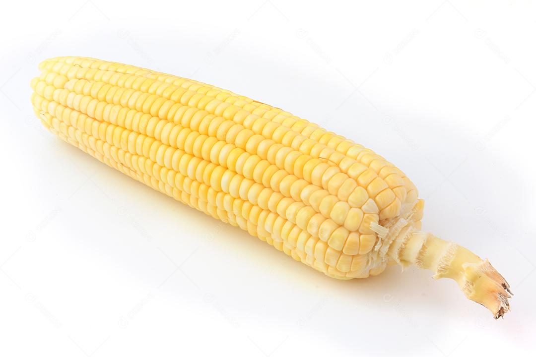 espiga de milho cru e fresco isolado no fundo branco