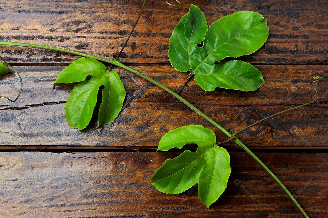 ramos e folhas de maracujá amarelo isolados na mesa de madeira. Vista superior de perto