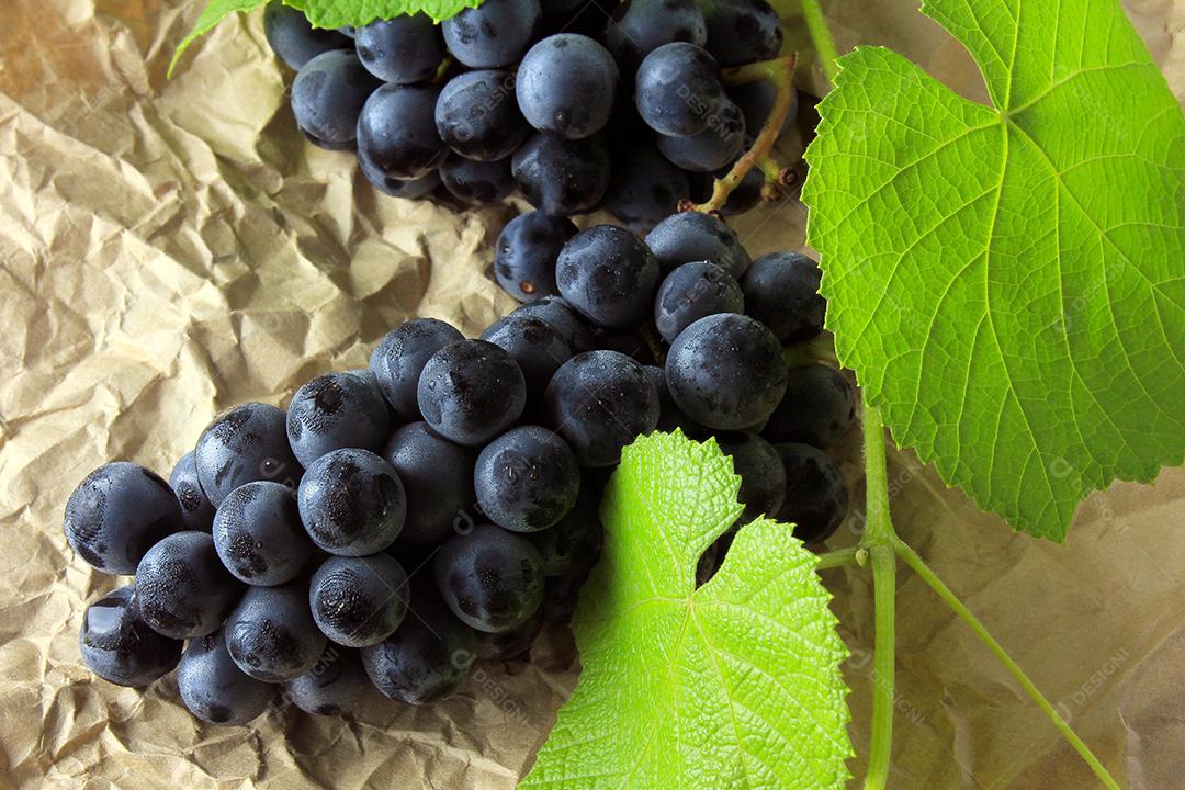 cachos de uvas frescas com galhos e folhas na mesa de madeira rústica