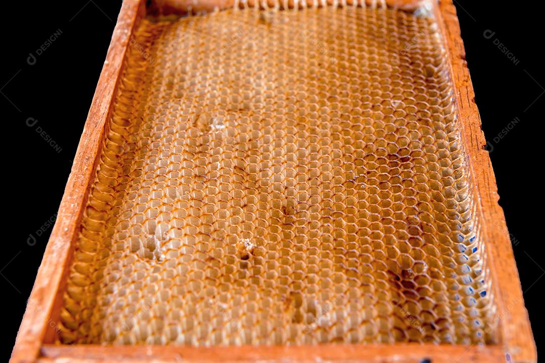 Caixa de favo de mel feita por abelhas.