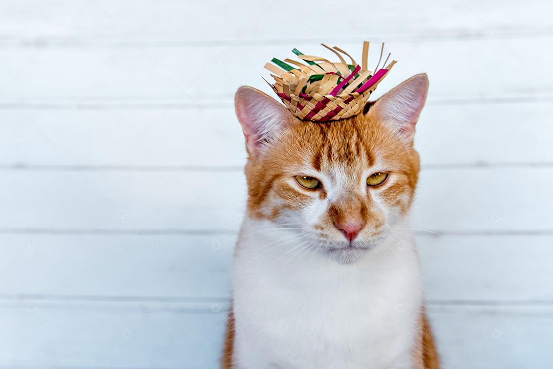 Lindo gato amarelo com chapéu de palha em uma festa de junho
