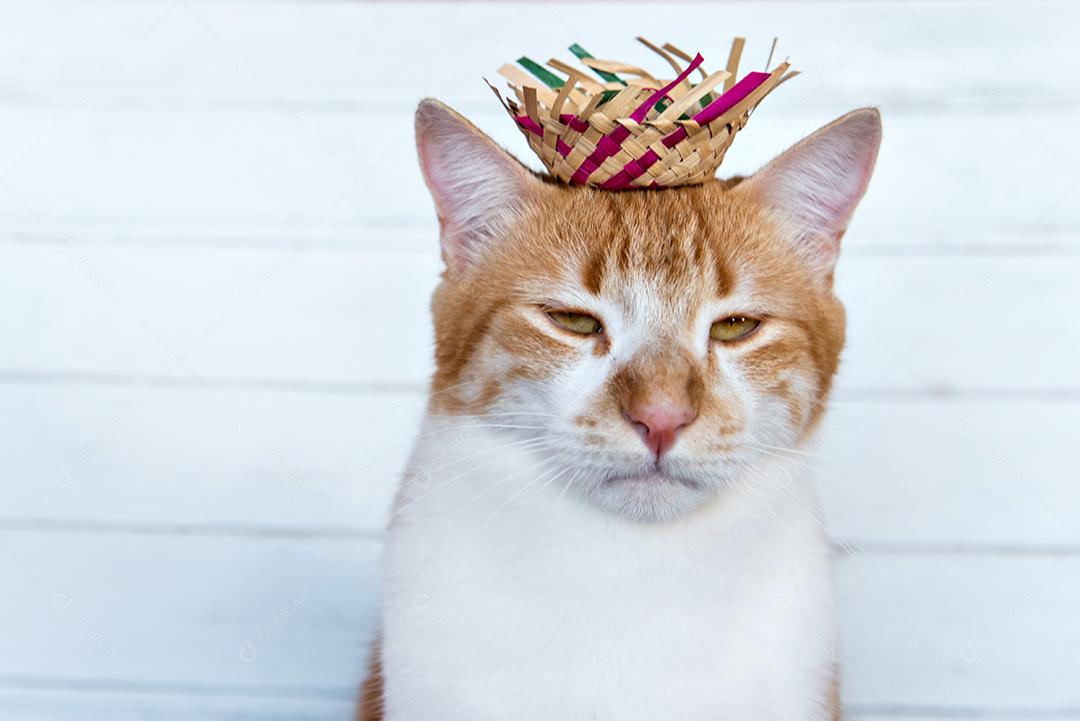 gato amarelo sério com chapéu de palha em uma festa junina