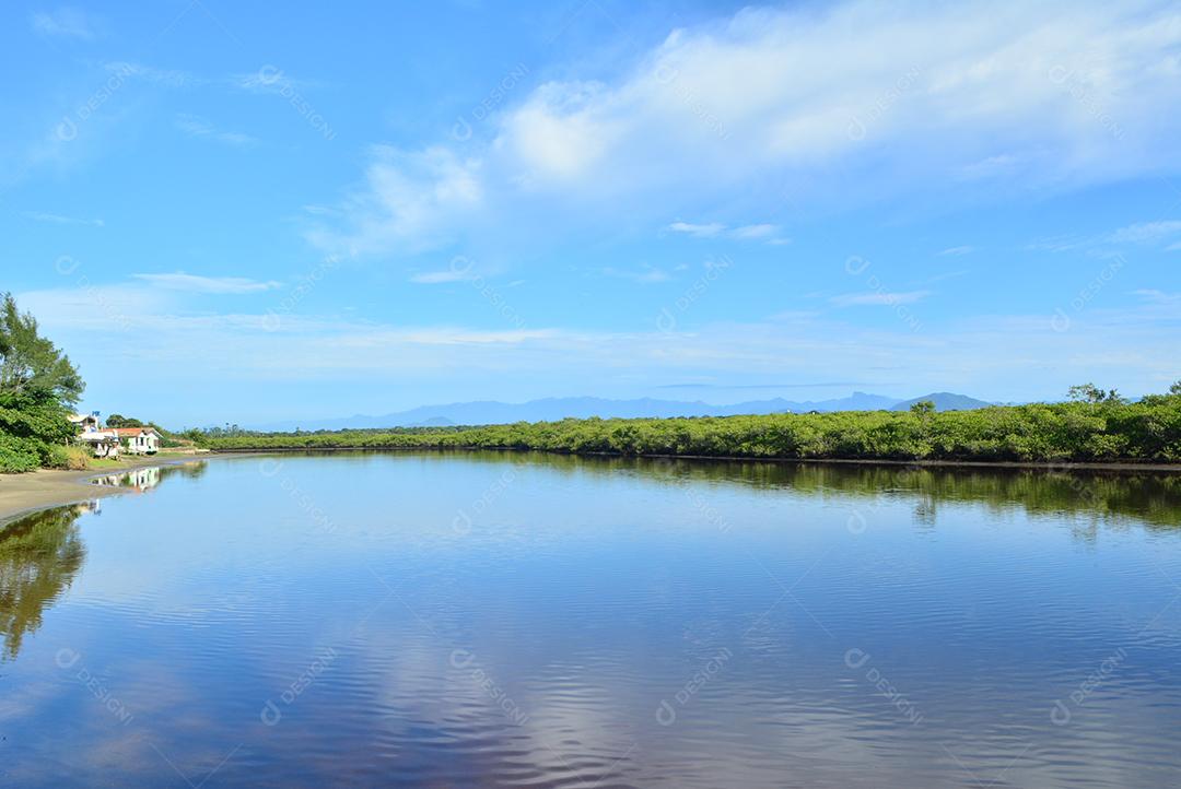 Floresta Mangrove beira rio com ceu azul